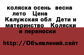 коляска осень ,весна, лето › Цена ­ 3 000 - Калужская обл. Дети и материнство » Коляски и переноски   